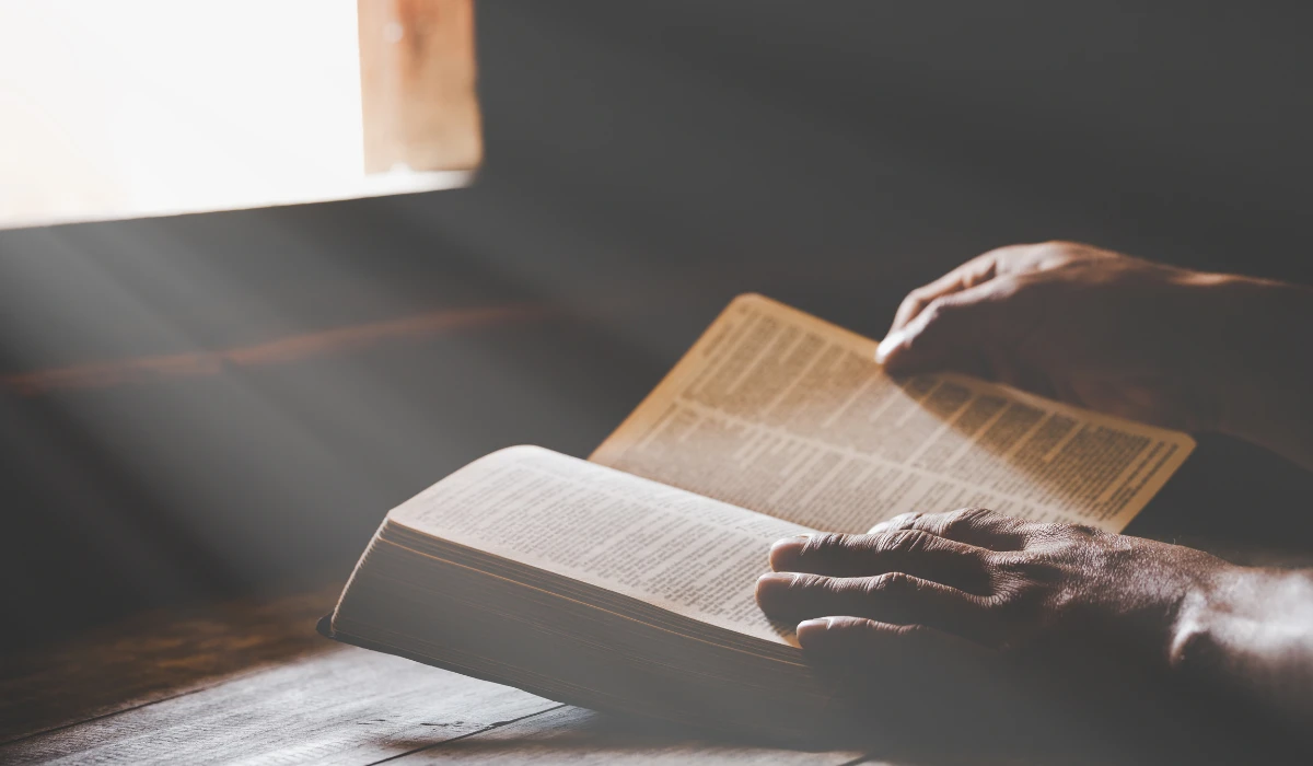 A person reads a book in front of a bright window, creating a cozy and inviting atmosphere.